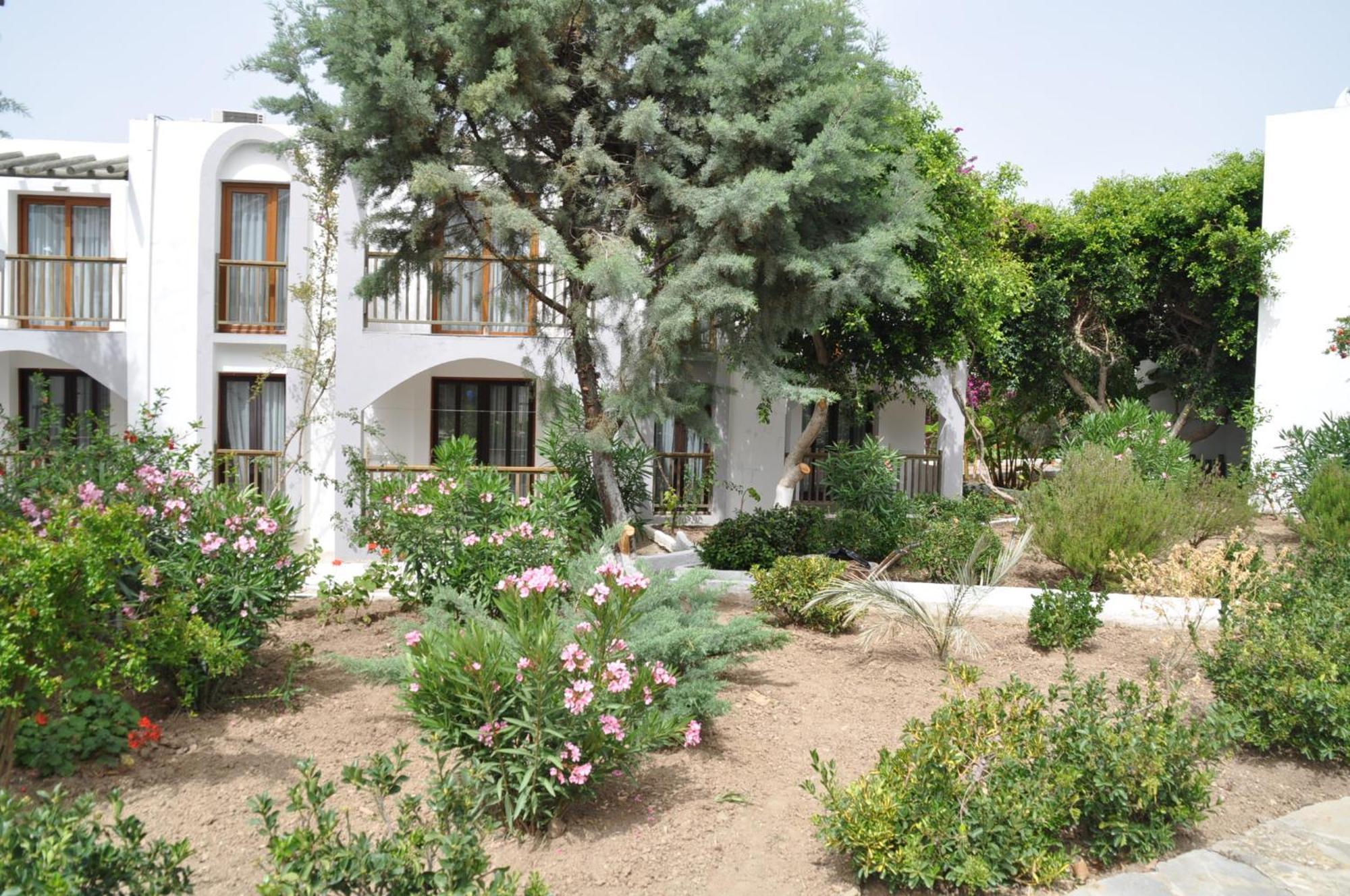 Gumbet Cove Hotel Zimmer foto